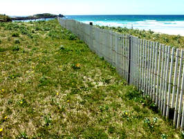 ganivelles plastique protection plages dunes